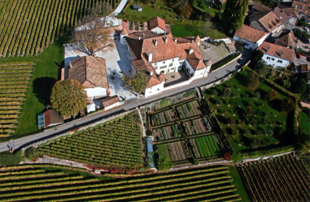 Chateau Le Rosey Nyon Exterior foto